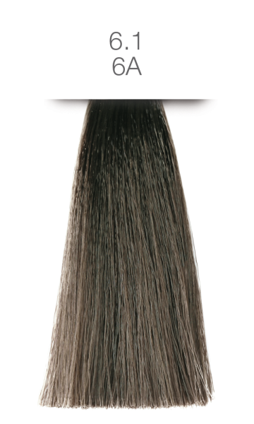 Previa Earth Colour Ash / dusty clouds 6.1 / 6A dunkles aschblond 100ml