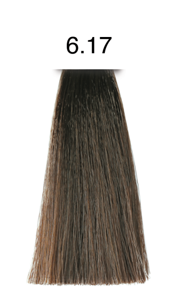 pH Argan & Keratin Color 6.17 dunkles  blond arktis 100ml