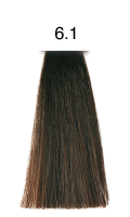 pH Argan & Keratin Color 6.1 dunkles aschblond 100ml