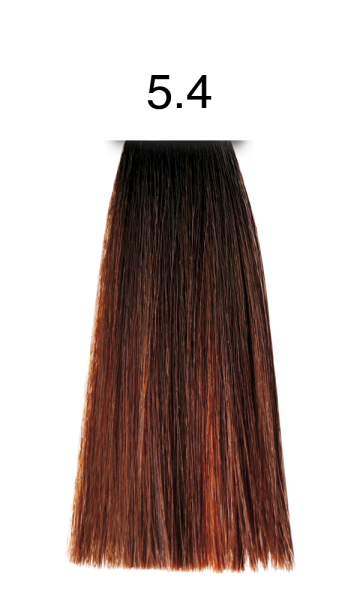 pH Argan & Keratin Color 5.4 helles kupferbraun 100ml