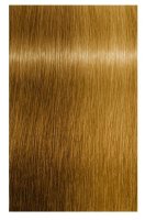 Indola Color Style Mousse 200ml Dunkelblond