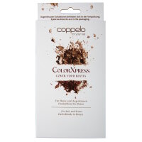 Coppelo ColorXpress Puder für Ansatz und Augenbrauen...
