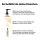 Loreal Serie Expert Absolut Repair Shampoo Refill Box 1000 ml