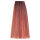 Previa Virtuous Colour 10,68 / 10RP platinblond rot perl